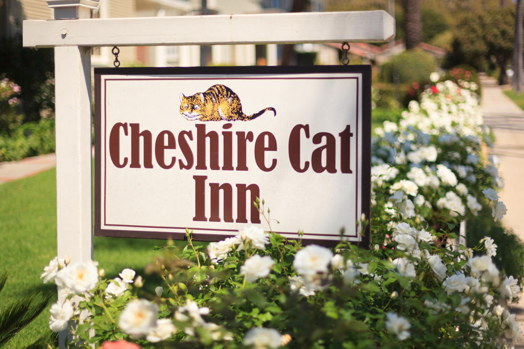 Cheshire Cat Inn & Cottages 圣巴巴拉 外观 照片